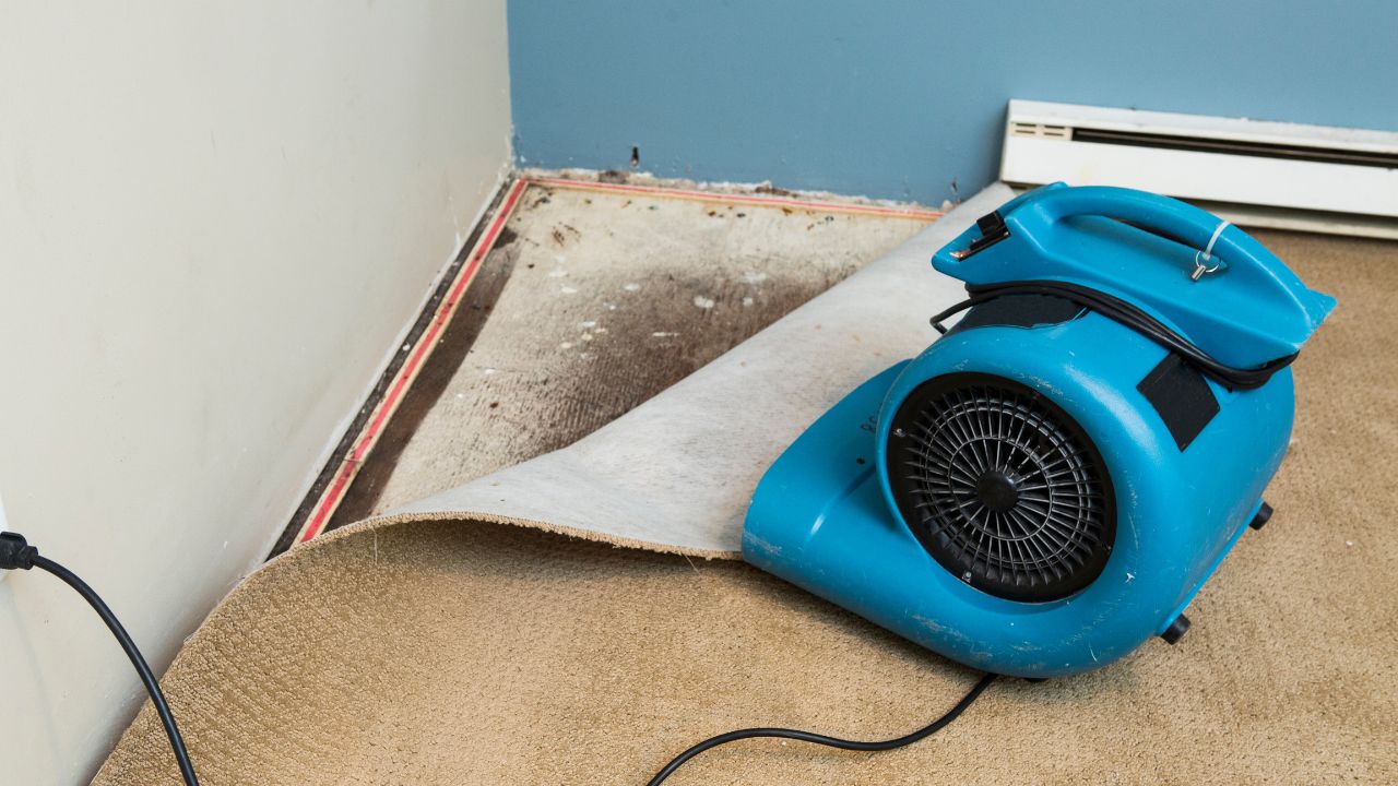 Meridian Damage Restoration business image in Meridian, Idaho